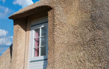 Scar Head thatch roof disadvantages